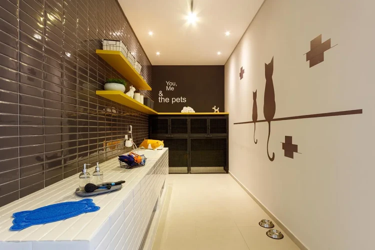 Nex One Sena Madureira